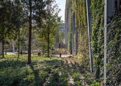 Széllkapu park - TSPC