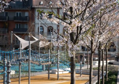 Széllkapu park - TSPC