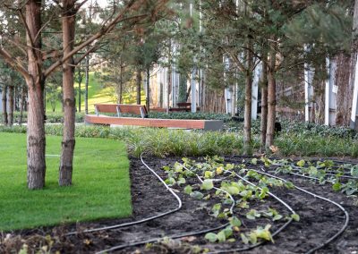 Széllkapu park - TSPC